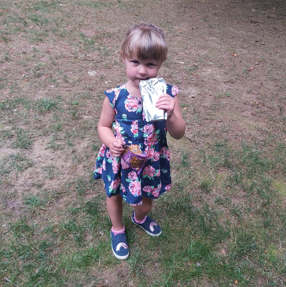 EUC navy pink floral dress 3T